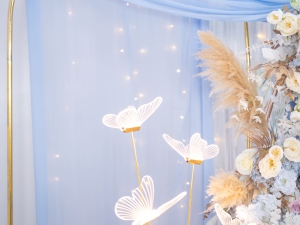 DSC05761 已增強 雜訊減少