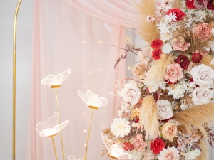 DSC05780 已增強 雜訊減少