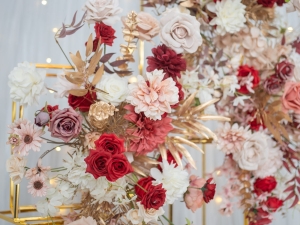 DSC05909 已增強 雜訊減少