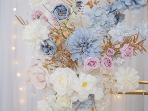 DSC05924 已增強 雜訊減少