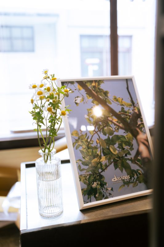 DSC06318 已增強 雜訊減少