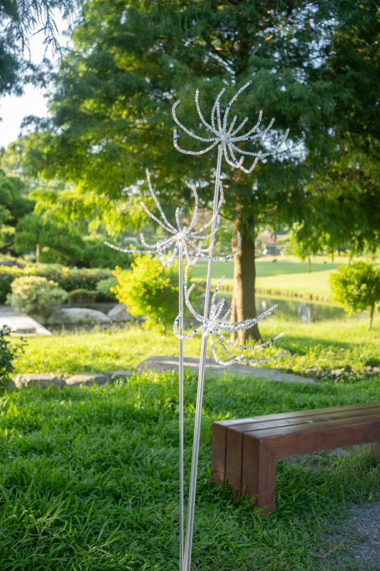 DSC06358 已增強 雜訊減少