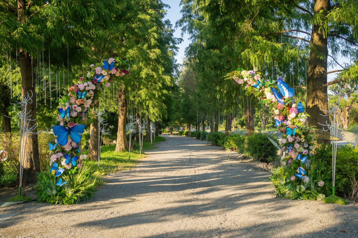 DSC06379 已增強 雜訊減少