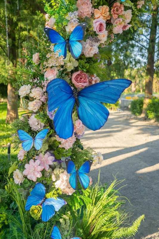 DSC06386 已增強 雜訊減少