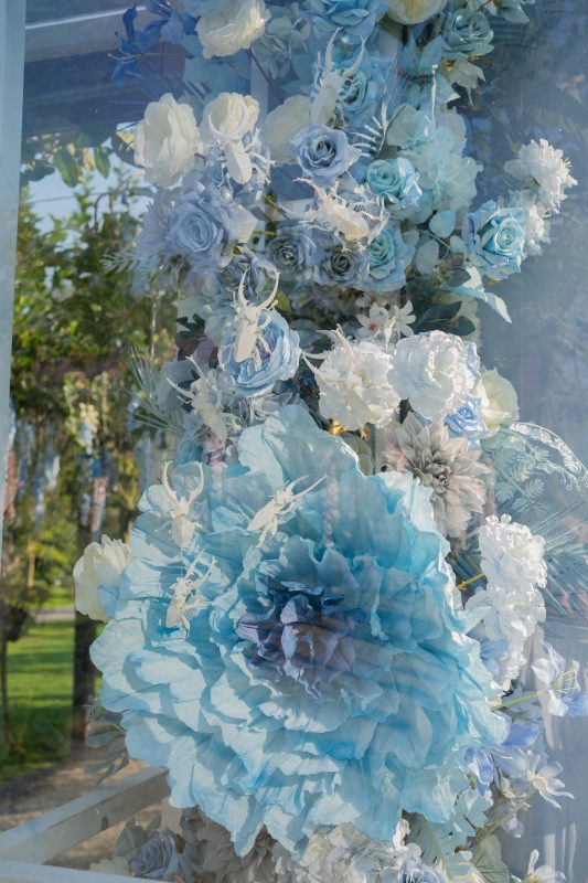 DSC06391 已增強 雜訊減少