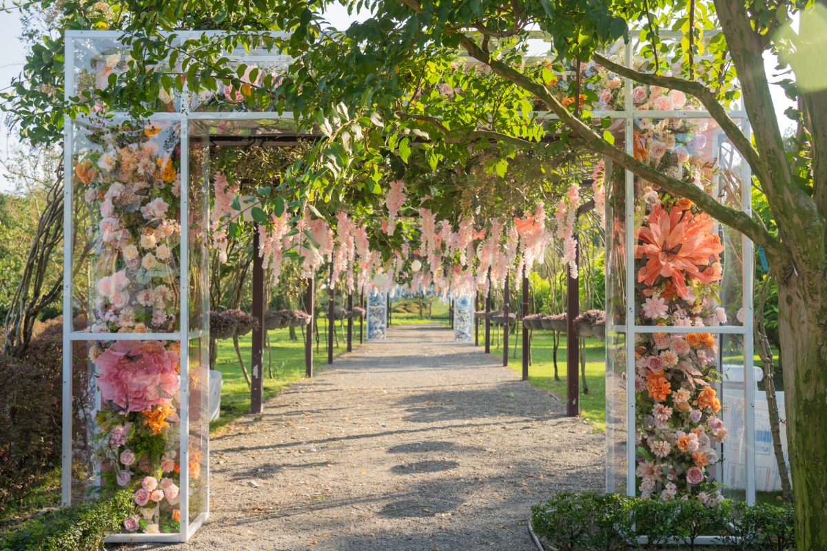 DSC06406 已增強 雜訊減少