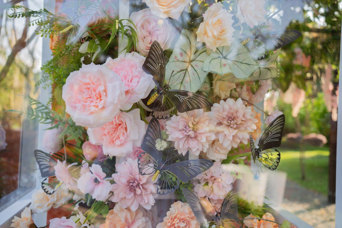 DSC06409 已增強 雜訊減少