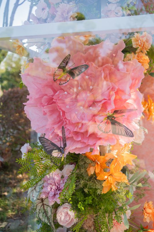 DSC06411 已增強 雜訊減少 1