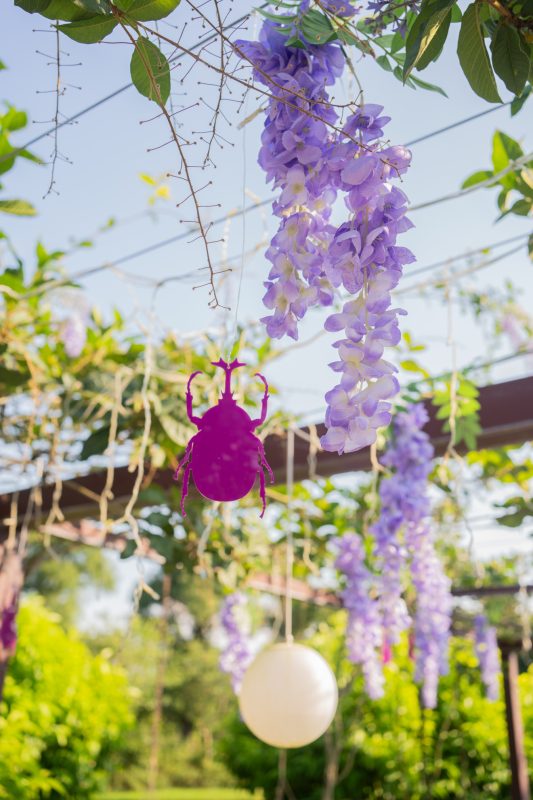 DSC06420 已增強 雜訊減少 1