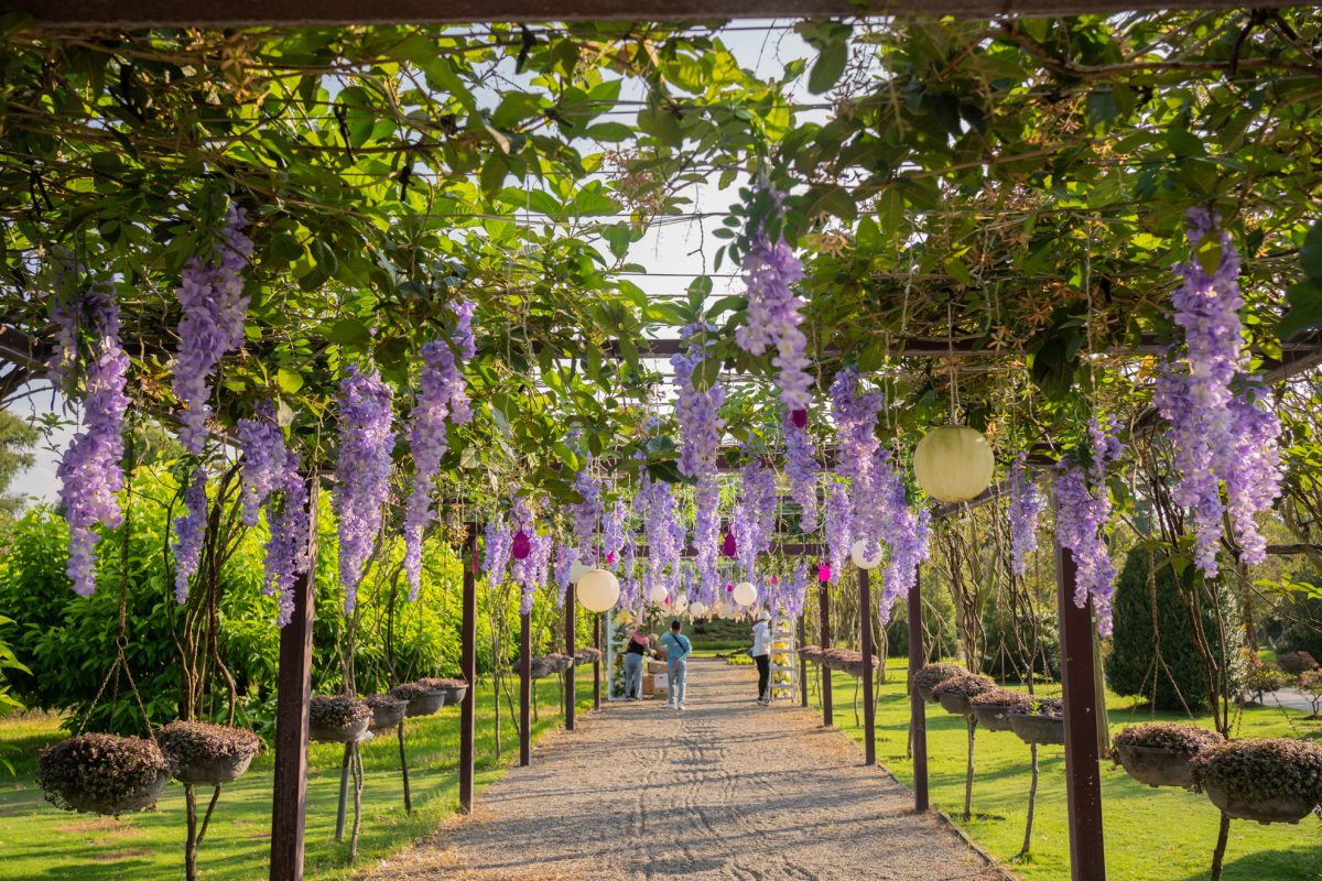 DSC06431 已增強 雜訊減少