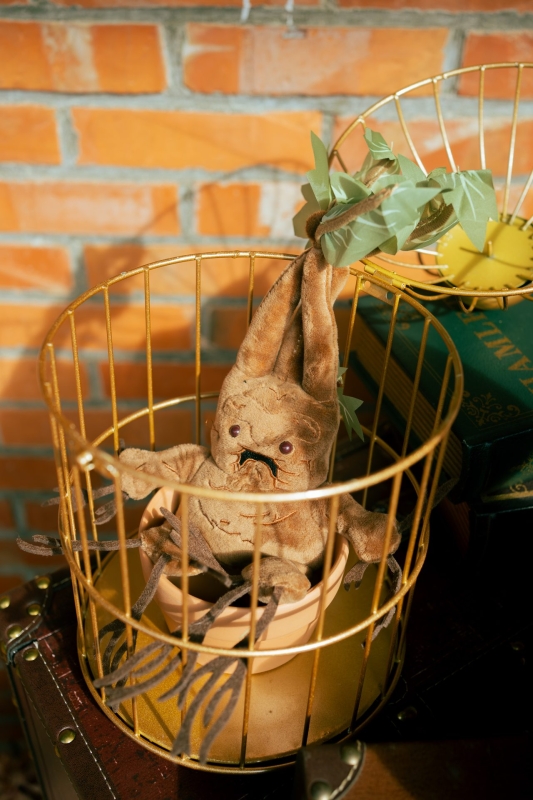 DSC06496 已增強 雜訊減少