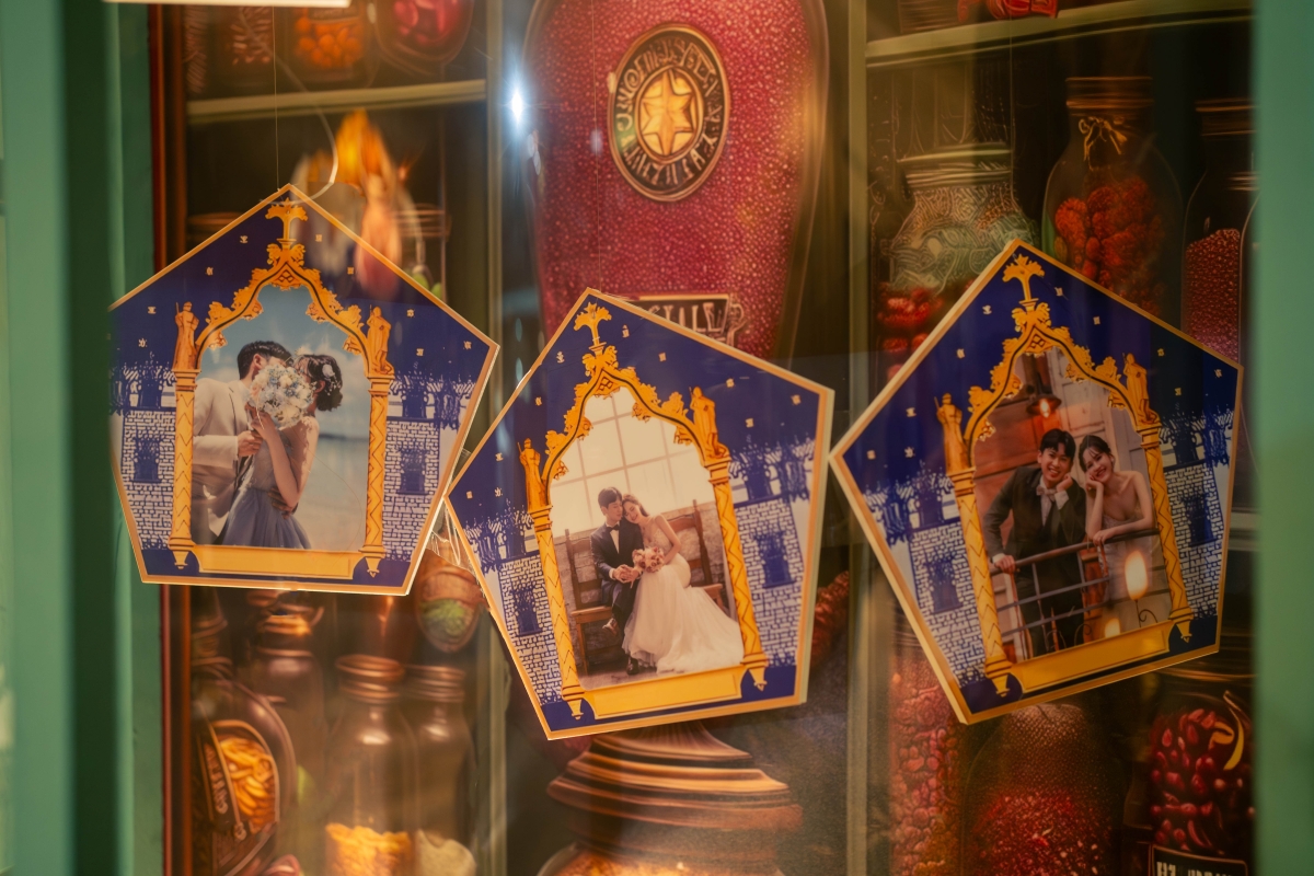 DSC07547 已增強 雜訊減少