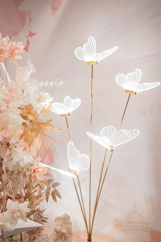 DSC07741 已增強 雜訊減少