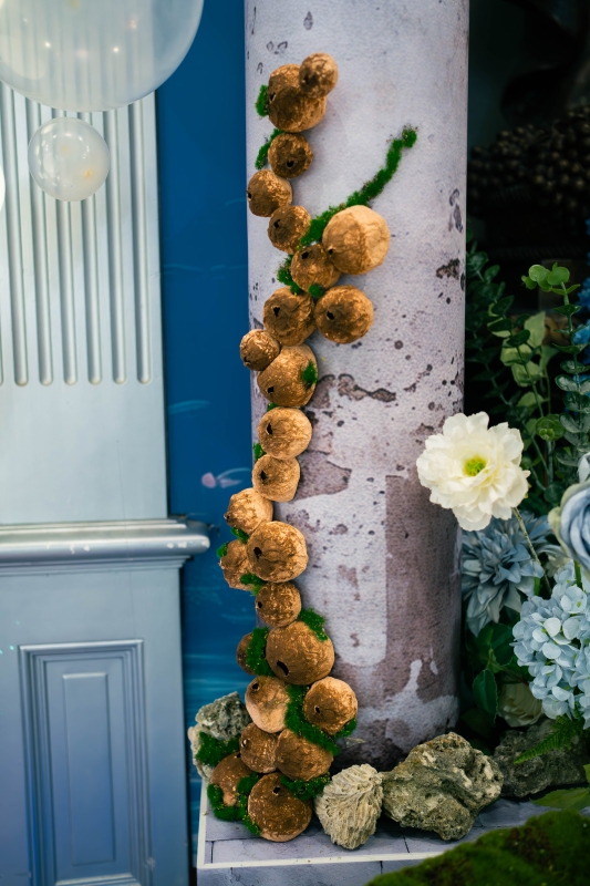 DSC08128 已增強 雜訊減少