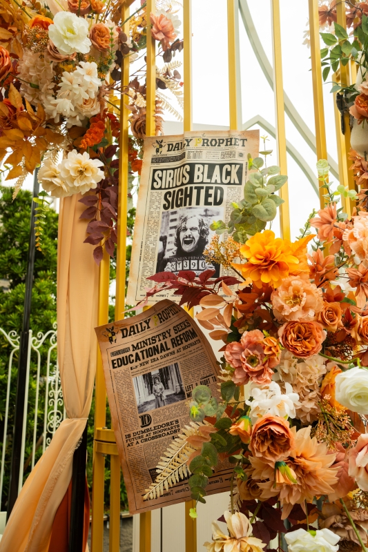 DSC08613 已增強 雜訊減少