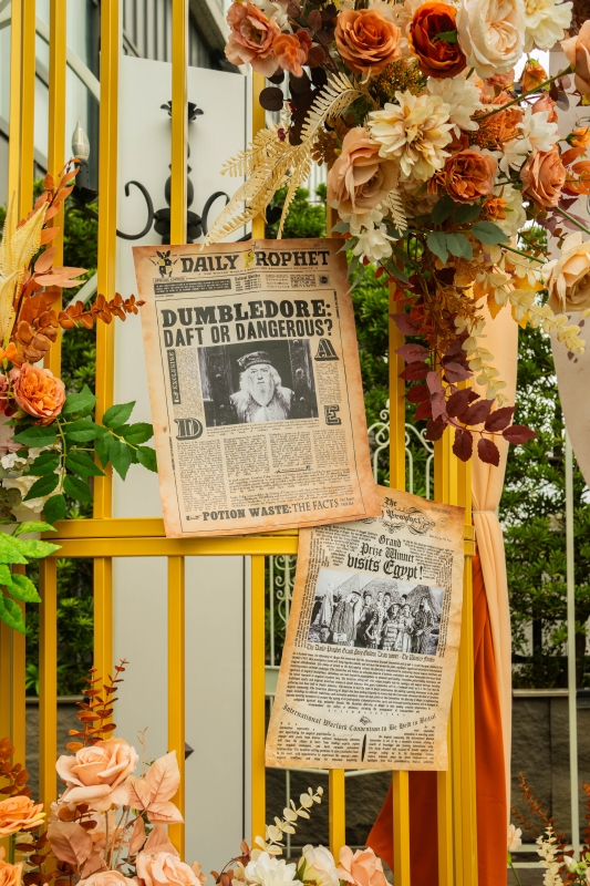 DSC08614 已增強 雜訊減少