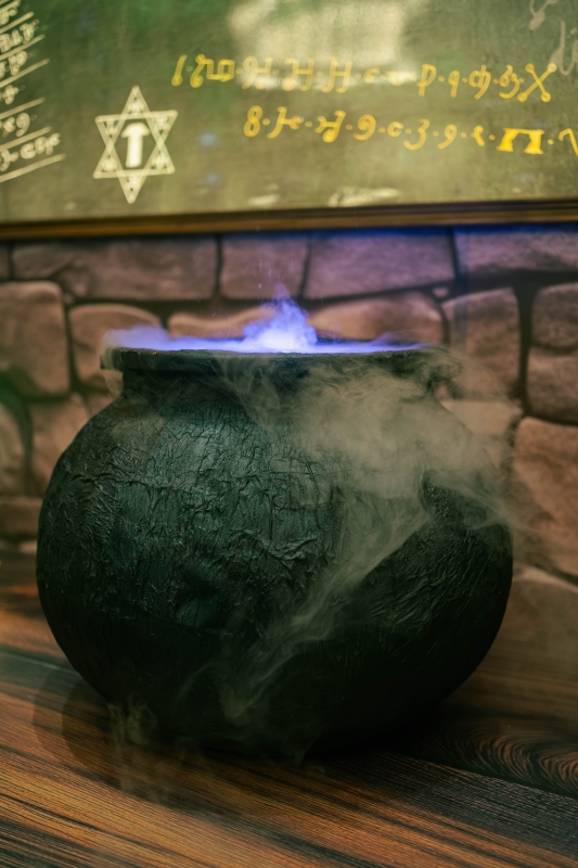 DSC08777 已增強 雜訊減少