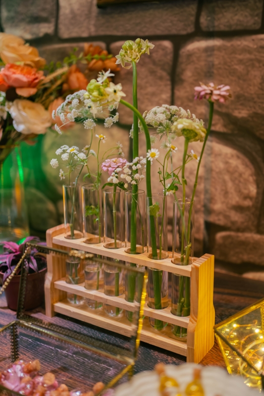 DSC08790 已增強 雜訊減少