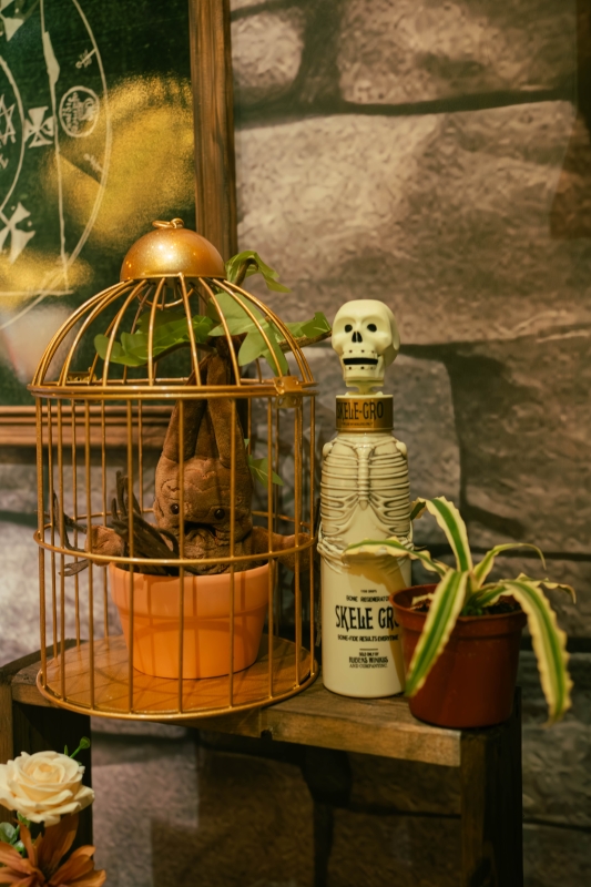 DSC08839 已增強 雜訊減少