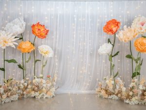 巨型花園【豪華版】