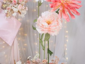 DSC09060