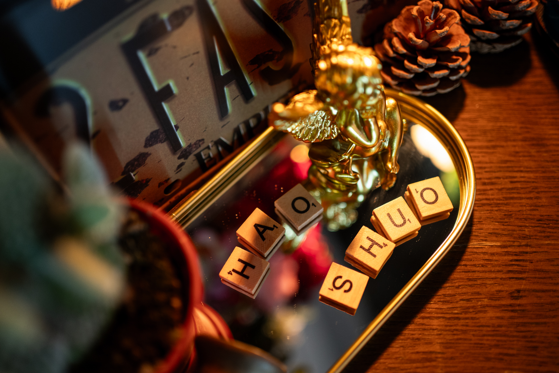 HAO SHUO 字母方塊與復古車牌