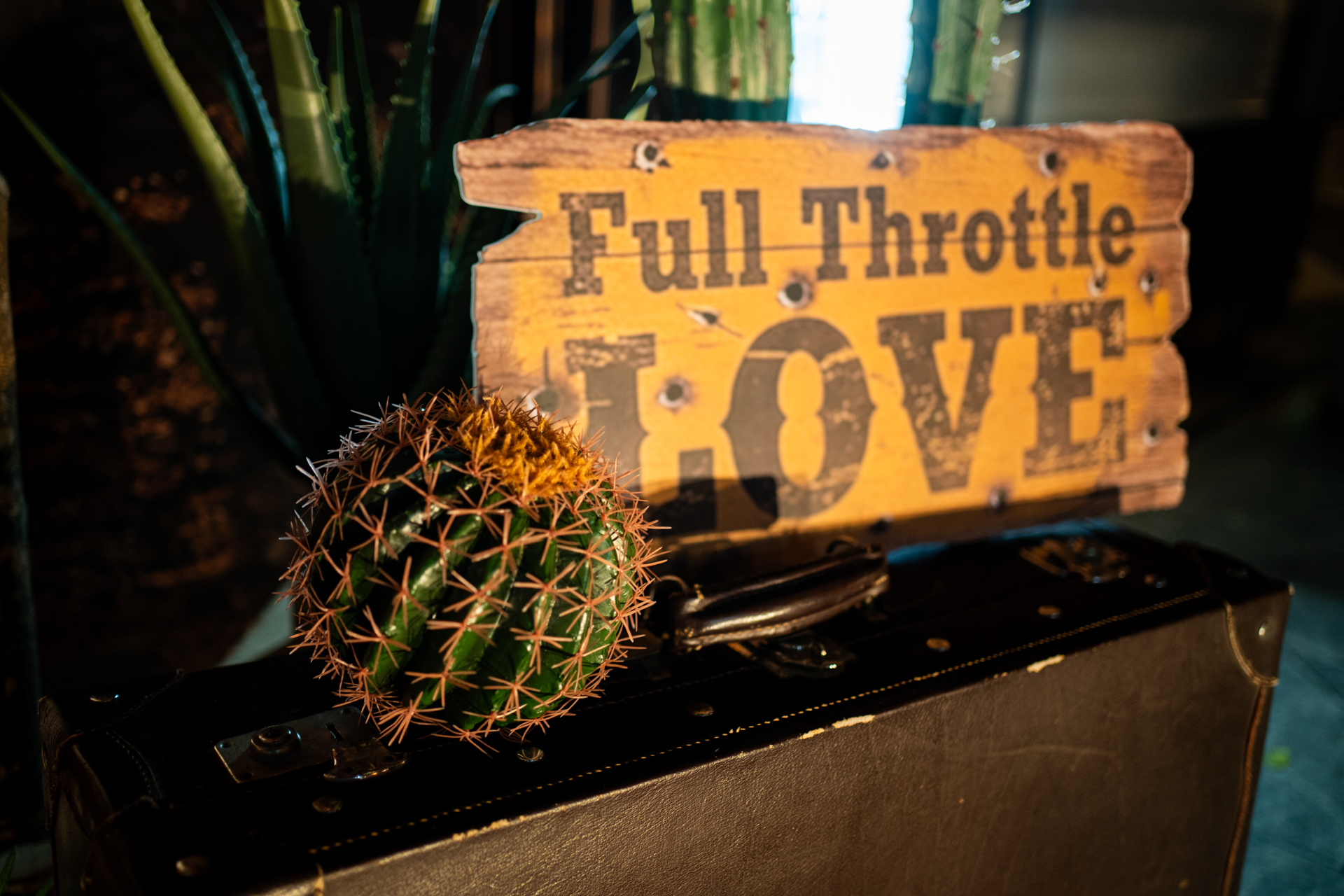 Full Throttle LOVE 木板與仙人掌