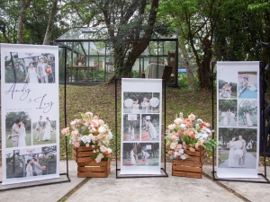 IMG 0473 已增強 雜訊減少