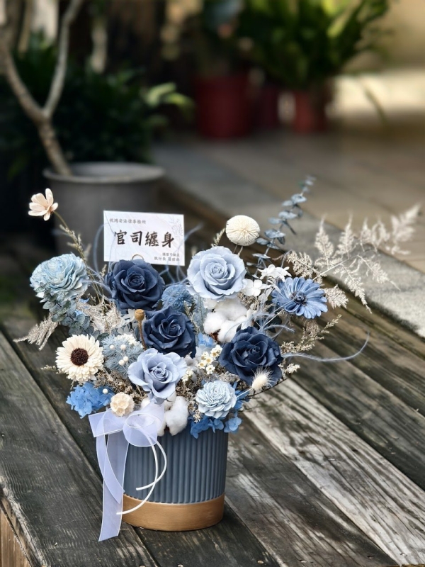 盆花 15 IMG 20240626 092449