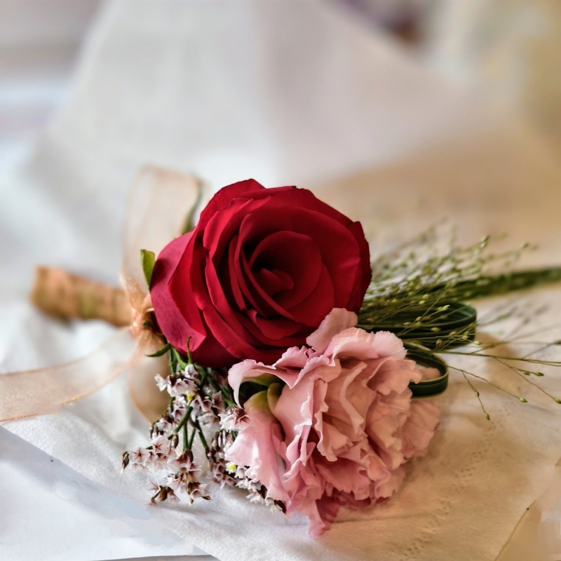 IMG 20240704 1343282