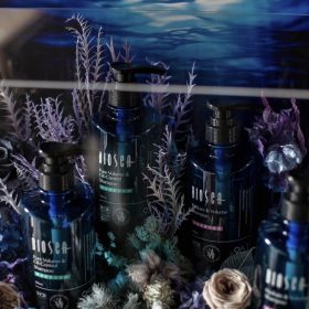 永生桌花｜品牌合作款