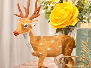 相簿桌 - 森林系 13 IMG 6532