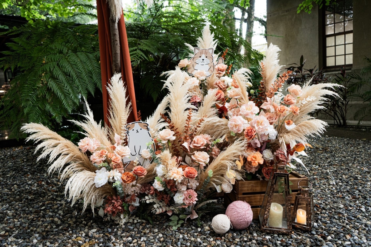 LINE ALBUM 231127 貓主題 231130 10