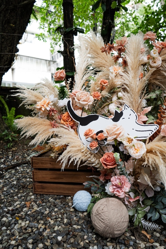 LINE ALBUM 231127 貓主題 231130 15