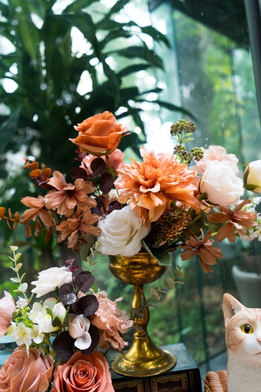 LINE ALBUM 231127 貓主題 231130 2