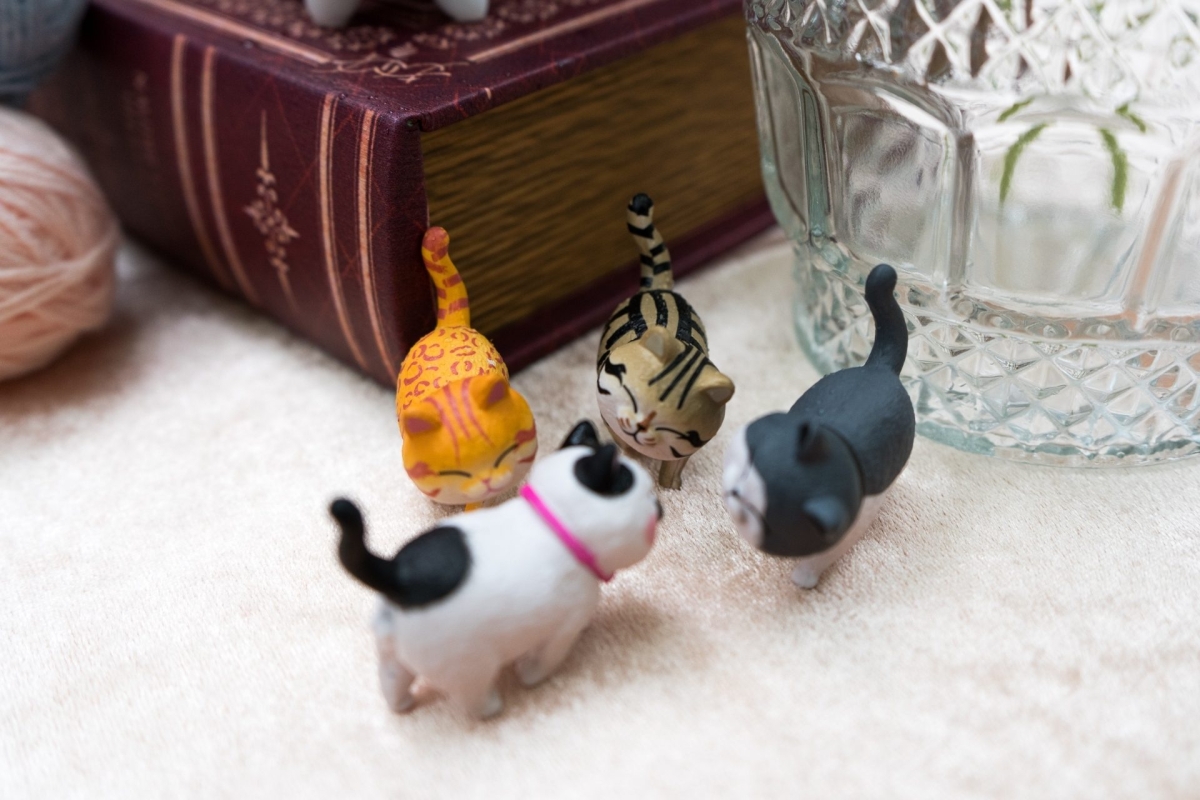 LINE ALBUM 231127 貓主題 231130 23