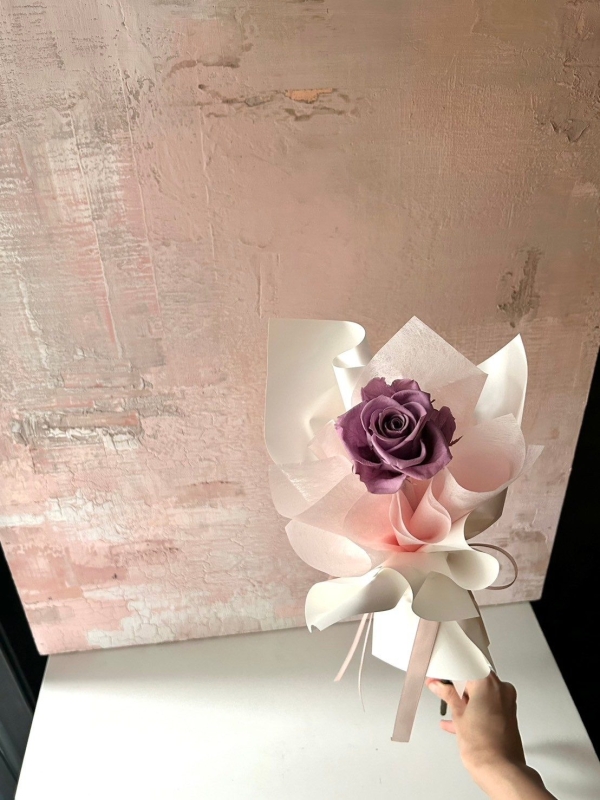 LINE ALBUM 好看的 241224 14