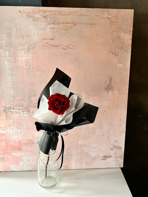 LINE ALBUM 好看的 241224 15