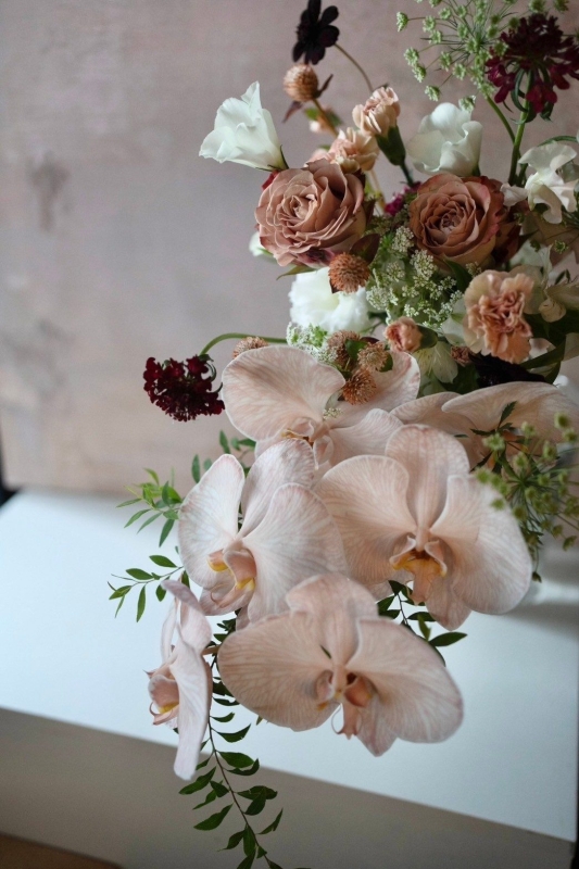 LINE ALBUM 好看的 241224 16