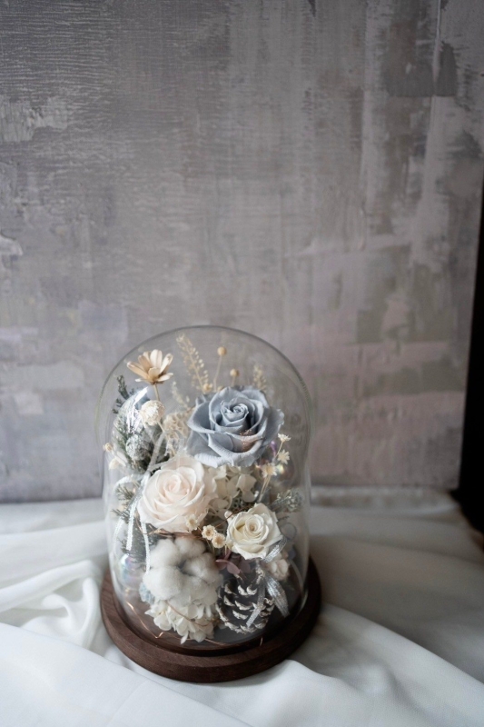 LINE ALBUM 好看的 241224 4