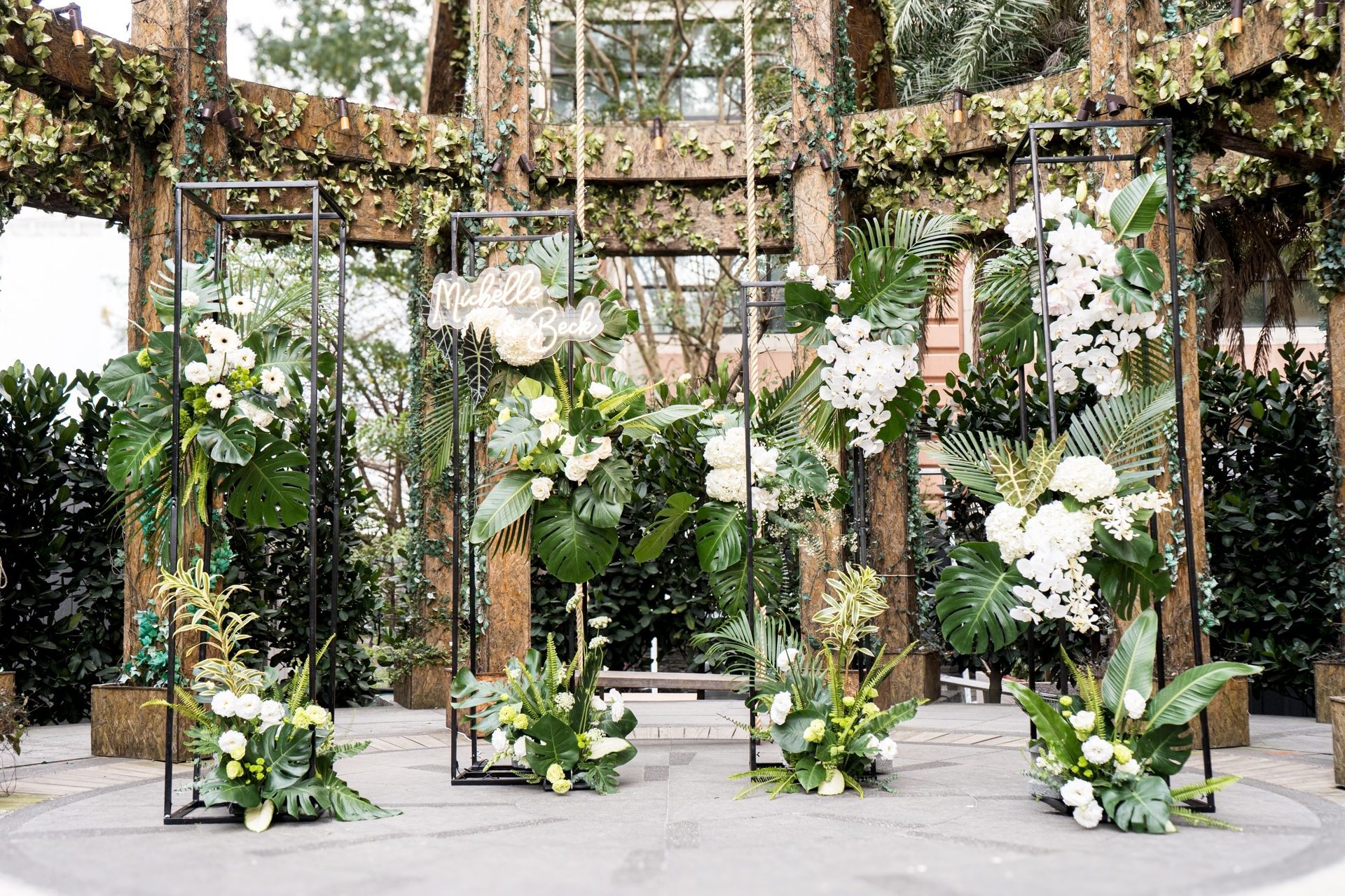 LINE ALBUM 龜背葉 240329 16