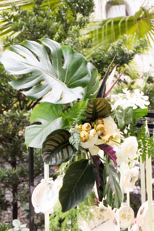 LINE ALBUM 龜背葉 240329 19