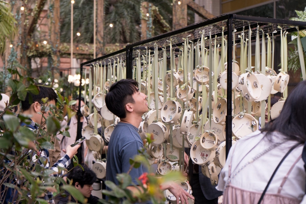 LINE ALBUM 龜背葉 240329 25