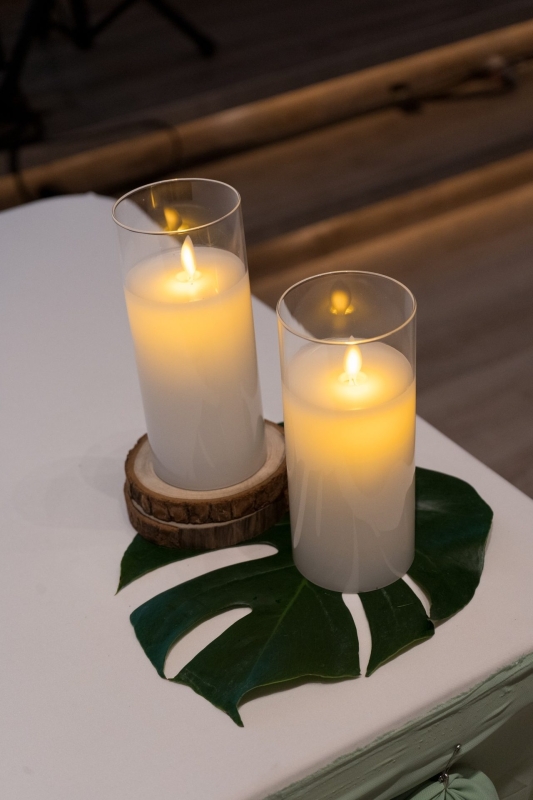 LINE ALBUM 龜背葉 240329 26