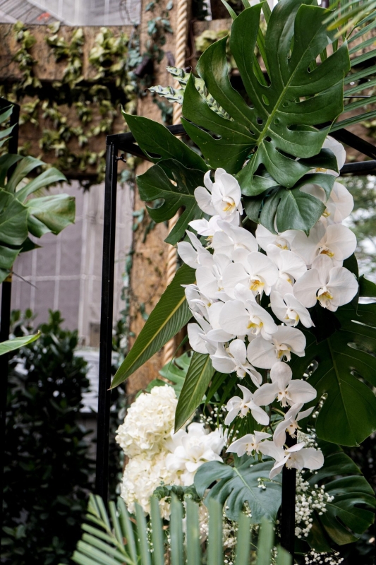 LINE ALBUM 龜背葉 240329 5