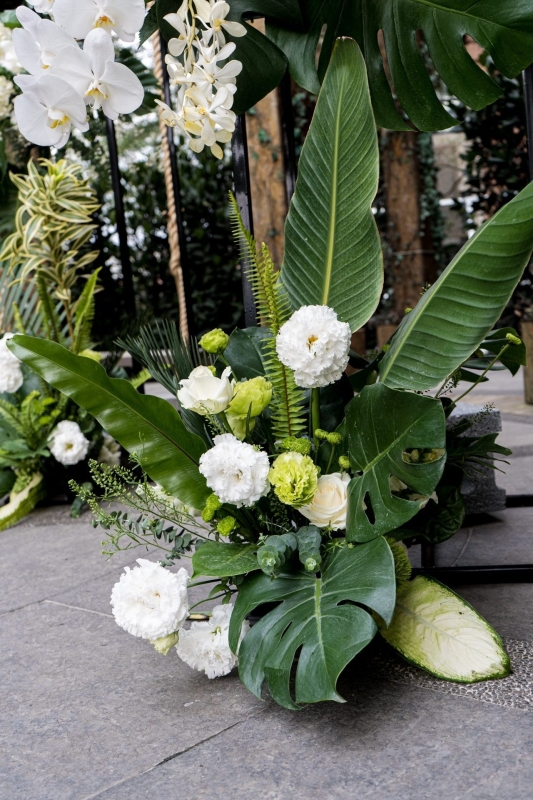 LINE ALBUM 龜背葉 240329 7