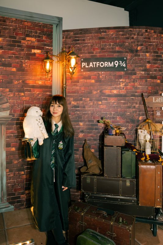 Lativ哈波火車 11