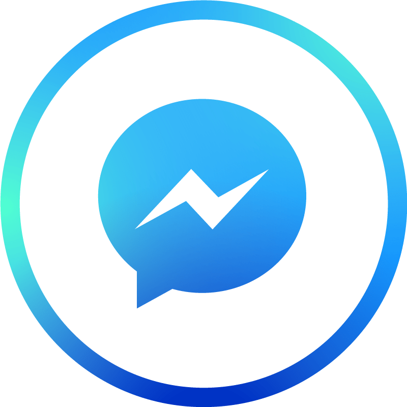 盆花 29 Messenger LOGO