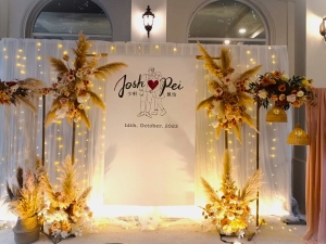 奶茶色蘆葦拱門 【旗艦版】 青青 2