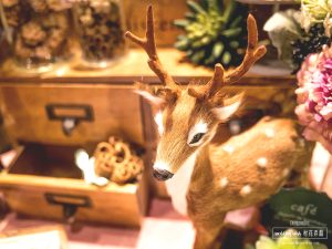 鄉村木紋花套餐 14 木套 2